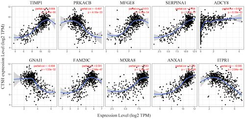 Figure 12 Correlation analysis between CTSH and 10 hub genes expression in THCA which was adjusted by patient’s age. Horizontal axis indicated mRNA expression of hub genes, and vertical axis referred to CTSH mRNA expression. Spearman correlation analysis was used to present relationship between 2 variables.