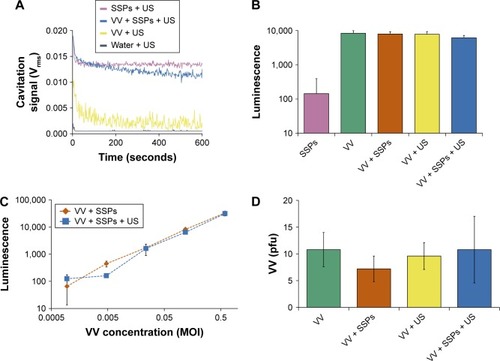 Figure 4 Impact of cavitation on infectivity of VV in cells incubated with the virus.Notes: (A) Cavitation response of VV, SSPs or a mixture of the solutions in the CTR. “Cavitation signal” is the root mean square (in Volts). Following exposure in the CTR, a luciferase-expressing version of the VV was incubated with A549 cells for 24 hours before cells were processed, luciferin was added and luminescence measured. (B) Luminescence of cells incubated with 0.12 MOI VV or control treatments at an equivalent dilution, N=3. (C) Luminescence as a function of VV concentration, N=3. (D) As an alternative measure of infection and spread, A549 cells were infected with a non-luciferase-expressing oncolytic VV, and the number of plaques counted 3 days later. Data represent the mean of N=5. Standard deviation is shown.Abbreviations: VV, vaccinia virus; SSPs, sonosensitive particles; CTR, cavitation test rig; MOI, multiplicity of infection; US, ultrasound; pfu, plaque-forming units.