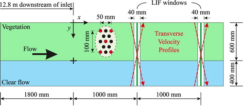 Figure 1 Schematic plan view of experimental set-up for artificial partially vegetated case, showing low density (red) and high density (black and red) stem patterns