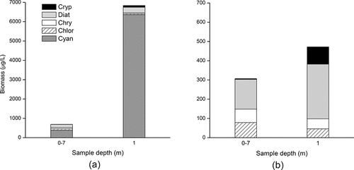 Figure 9. Phytoplankton biomass in surface (1 m) and mixed-depth integrated (0–7 m) samples at collected at station 710 (southern basin), Sep 2010. Left: all major taxa present in the samples; right: plot of all major groups with cyanobacteria removed to illustrate the changes in these less abundant taxa.
