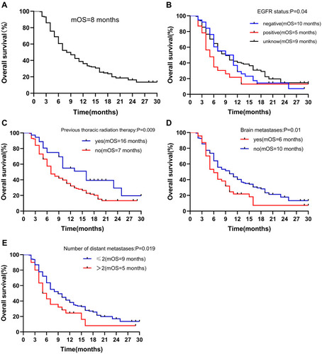 Figure 2 Efficacy results after the treatment of anlotinib. Overall survival of: (A) all 206 patients; (B) stratified by EGFR status; (C) stratified by previous thoracic radiation therapy; (D) stratified by brain metastases; (E) stratified by number of distant metastases.