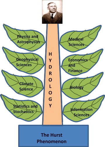 Figure 1. The proliferation of Hurst’s work in different scientific fields.