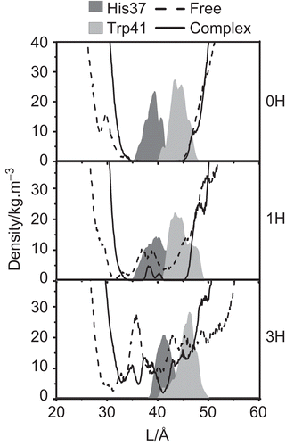 Figure 4.  The water densities and the distribution patterns of the His37 selectivity and Trp41 gating residue positions in the free M2 protein and M2-RMTs complex.