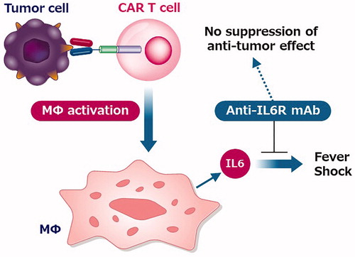 Figure 2. Effect of anti-IL6 receptor antibody on Cytokine Release Syndrome.