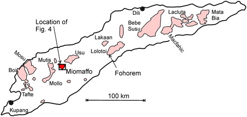 Figure 2. Distribution of Banda terrane elements shown in pink (red for Miomaffo) based on Harris (Citation2006).