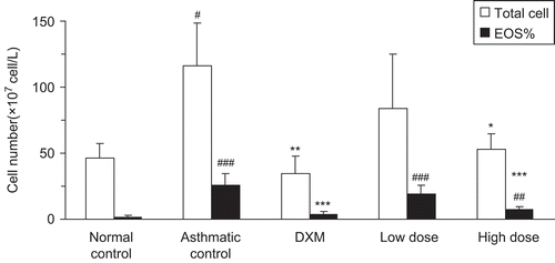 Figure 5.  The number of inflammatory cells in BALF in different groups. BALF cells were separated using Cytospin and then stained with Wright. Differential cell counting was performed using standard morphological criteria. This experiment used six rats per group (n = 6). * p < 0.05, ** p < 0.01, *** p < 0.001 vs model; # p < 0.05, ## p < 0.01, ### p < 0.001 vs control. Total cells: the total cell number; EOS%: Eosinophil number; DXM: dexamethasone; Low dose: 4 cm2 of DIA; High dose: 1.5 cm2 of DIA; DIA: drug-in-adhesive.