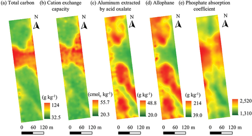 Figure 3. Kriged maps of selected inherent soil properties on the surface soil.