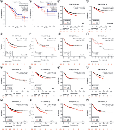 Figure 2. Prognostic value of SIX4 level for patients with breast cancer. (A) Overall survival. (B) Disease-free survival. (C) Relapse-free survival (RFS) in all patients. (D) Luminal A subtype RFS. (E) Luminal B subtype RFS. (F) HER2+ subtype RFS. (G) Basal-like subtype RFS. (H) Normal-like subtype RFS. (I) ER− patient RFS. (J) ER+ patient RFS. (K) PR− patient RFS. (L) PR+ patient RFS. (M) HER2− patient RFS. (N) HER2+ patient RFS. (O) RFS for patients without lymph node metastasis. (P) RFS for patients with lymph node metastasis.ER: Estrogen receptor; PR: Progesterone receptor.