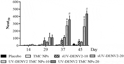 Figure 5. Production of neutralizing antibody against DENV-2 upon UV-inactivated DENV2 TMC NPs or sUV-inactivated DENV2 immunization