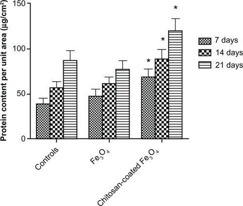 Figure 13 Intracellular total protein synthesis of osteoblasts incubated with chitosan-coated iron oxide nanoparticles and iron oxide nanoparticles (200 μg/mL) for 7, 14, and 21 days.Notes: Data are shown as the mean ± standard error of the mean (n = 4). *P < 0.05 compared with control samples. Osteoblast seeding density was 100,000 cells/cm2.