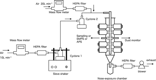 FIG. 1 Schematic diagram of the generation system and nose-exposure chamber for airborne multi-walled carbon nanotubes (MWCNTs).