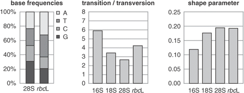 Fig. 1. Model parameters often differ among markers in a multi-marker dataset. This graph illustrates differences between model parameters for a red algal multi-marker dataset. Base frequencies show lower AT content in 28S than rbcL, while the ratio between transitions and transversions, and the shape parameter of the Γ distribution (α) also differ between markers.