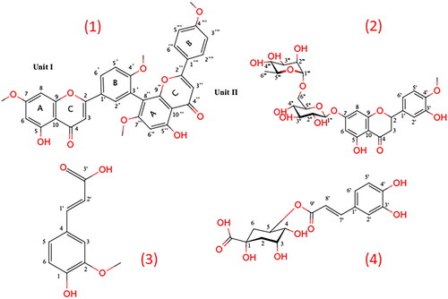 Figure 1. The chemical structure of Cycas thouarsii n-butanol isolated pure compounds.