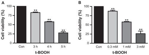 Figure 1 The response of ARPE-19 cells to t-BOOH treatment. (A) Cells were treated with 1 mM t-BOOH for 0–5 hours. (B) Cells were treated for 4 hours with 0–3 mM t-BOOH. Control cells were not treated with t-BOOH. Cell viability was determined with the MTT assay. Treatment with t-BOOH resulted in both time- (A) and dose-dependent (B) reductions in cell viability.