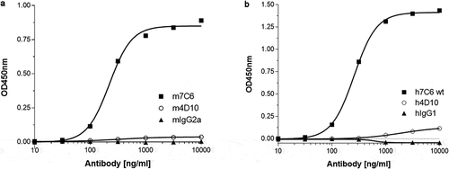 Figure 6. (a) A sandwich ELISA using pooled cynomolgus monkey plasma as a natural source of PF-4 was developed to enable screening for anti-Aβ oligomer antibodies that were devoid of PF-4 cross-reactivity. The m7C6 antibody used as a positive control shows very strong binding to PF-4 compared to an isotype control antibody and the successfully identified back-up antibody m4D10. (b) Similar results were obtained with the humanized versions of the antibodies (h7C6 and h4D10)