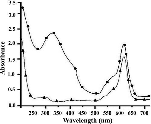 Figure 3. UV–visible spectra of ATТO 620 (▴) and paraoxon–BSA–ATТO 620 (●).