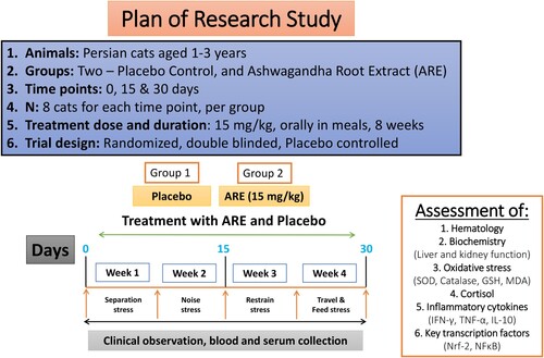 Figure 1. The schematic diagram of the clinical trial design to study the effect of ARE on stress in cats. ARE: Ashwagandha root extract.