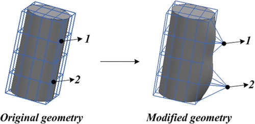 Figure 2. Geometry deformation using two parameters.