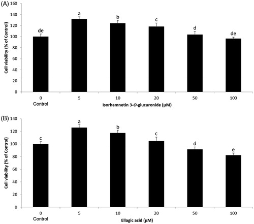 Figure 6. Effect of compounds on cell viability of 3T3-L1 preadipocytes. The 3T3-L1 preadipocytes were treated with ethyl acetate fraction (A) isorhamnetin-3-O-d-glucuronide and (B) ellagic acid at various concentrations (0, 5, 10, 20, 50, and 100 μM) for 24 h, and the cell viability was determined by MTT assay. Each value is expressed as the mean ± S.D. Values with different superscripts are significantly different at p < 0.05.