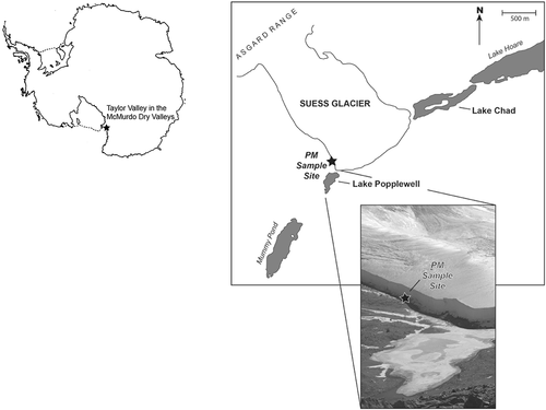 Figure 1. The location of the PM sampling site at Suess Glacier, Taylor Valley, Antarctica (77° 38.70′S, 162° 42.61′E). Antarctica base map courtesy of the National Science Foundation (Citation2017)