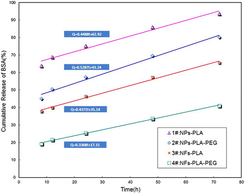 Figure 7. Plots and curve fittings of cumulative release amount vs. time for dynamic BSA release from NPs and NFs. The release time is from 8 to 72 h.