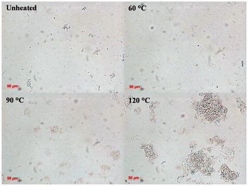 Figure 4. Light microscopy images of QPI solutions obtained by wet fractionation unheated and pre-heated at 60, 90 and 120 °C.