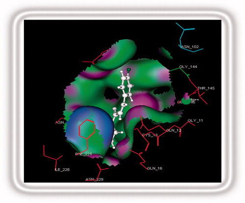 Figure 6. Chalcone 34 bound into the binding pocket of tubulin active site.