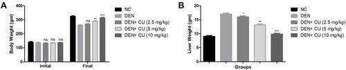 Figure 2 Effect of curcumae on the body weight and liver weight of obesity-induced hepatocellular carcinoma in rats. (A) Body weight and (B) liver weight. Tested group rats were compared with the DEN control group rats. *P<0.05, **P<0.01 and ***P<0.001 were considered as significant, more significant and extreme significant, respectively.
