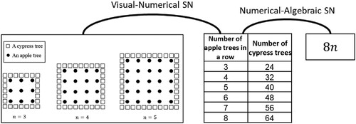Figure 8. An example of Visual-Numerical and Numerical-Algebraic SNs.