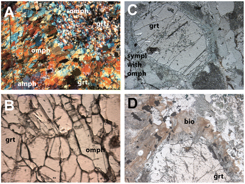 Figure 3. Photomicrographs of (A) eclogite texture with omphacite and garnet, + nic., width 7 mm, sample Van 95; (B) garnet and omphacite, pl. width 3 mm, sample Van 95; (C) garnet with symplectite of retrogressed omphacite, sample Van 100; (D) biotite corona around garnet pl. l., width 5 mm, sample Van 98.