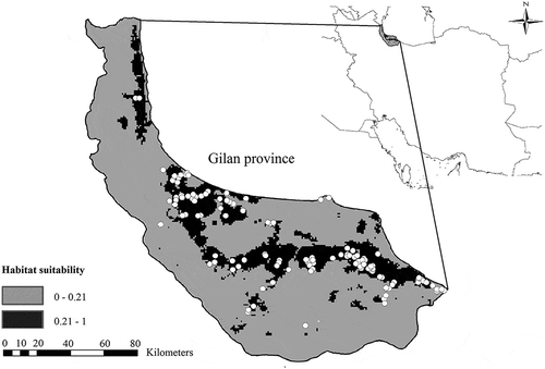 Figure 2. Habitat suitability map of Phasianus colchicus talischens in Gilan province along with distribution records (white dots).