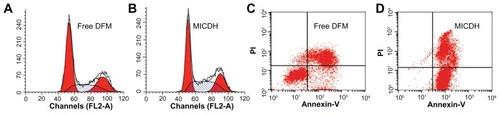 Figure 6 (A and B) Cell cycle arrest and (C and D) cell apoptosis after 24 hours’ exposure to 10 μg/mL free diferuloylmethane (DFM) and a molecular inclusion complex consisting of DFM and hydroxypropyl-β-cyclodextrin (MICDH).Abbreviation: PI, propidium iodide.