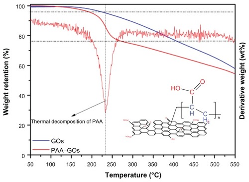 Figure 3 TGA curves of GO and PAA–GO.Abbreviations: GO, graphene oxide; PAA, polyacrylic acid; TGA, thermogravimetric analysis.