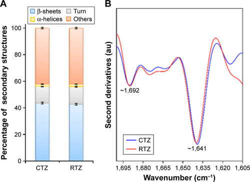 Figure S2 Evaluation of TZ secondary structure integrity after release.Notes: (A) Protein secondary structure content determined from CD spectra by using the BeStSel method. Error bars represent the standard deviations of the results obtained from the analysis of six independent CD spectra for each sample. (B) Second-derivatives of the FTIR absorption spectra of CTZ and RTZ in the Amide I region. Second derivative minima allow for identification of the main absorption components. The main peaks at ~1,692 cm−1 and at ~1,641 cm−1 are assigned to the native β-sheet structures of the proteins in agreement with previous FTIR characterizations.Abbreviations: TZ, trastuzumab; CD, circular dichroism; FTIR, Fourier transform infrared; CTZ, control TZ; RTZ, released TZ.