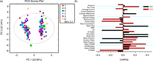 Fig. 6.  Performance similarity across the 6 groups was qualitatively visualized in the principal component analysis (PCA) score plot (a). Samples cluster into 2 groups on principal component 1 (PC1), corresponding to data from the EV (+PC1) and calibration (−PC1) data. Data were colour coded according to the 6 groups. (b) PCA loadings plot was used to identify which parameters separated the sample and calibration data. FWHM=full width half maximum duration (as opposed to “duration,” which is the total blockade duration), RMS=root mean square, MRP=mid-range particle size, dI/I=relative blockade magnitude.