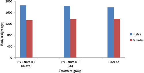 Figure 3. The safety of the double recombinant vaccine HVT-NDV-ILT, in terms of its potential to cause changes in body weights in chickens, was evaluated in an overdose study using SPF birds as described under materials and methods. At the time of necropsy (120 days of age), the mean body weight for each of the treatment groups was computed with the GLM procedure in SAS® 9.1.3. There was no statistically significant difference in the mean bird body weight between the vaccinated groups and the Marek’s vaccine diluent inoculated group. Left hand bars for each treatment group represent males, right females.
