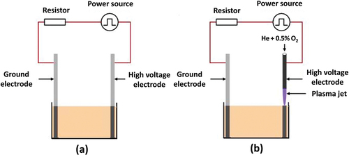 Figure 2. Schematic assembly (a) Pulsed electric field (PEF) treatment, (b) Cold plasma (CP) treatment.