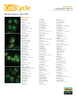 Cover image for Cell Cycle, Volume 12, Issue 11, 2013