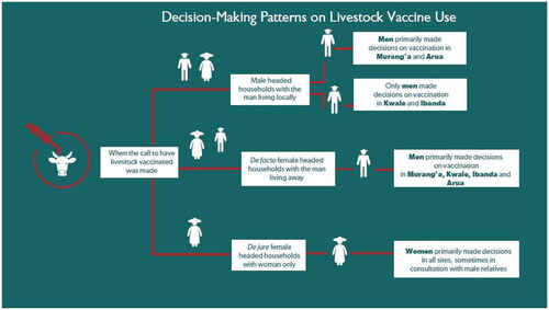Figure 3. Visual summary of decision-making on livestock vaccine use by household headship as reported by FGD participants.