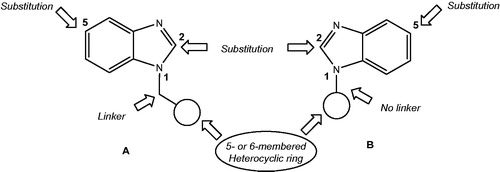 Figure 2. Structural requirements around benzimidazole nucleus for the study.