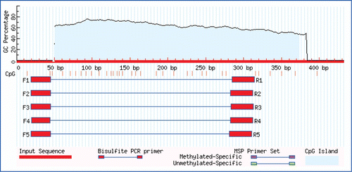 Figure 2.  The results of searching for CpG Islands in exon-1 of the HOXC-8 gene. The CpG Island is located at 48–373 bp. Five pairs of primers for bisulphite sequencing PCR are also shown.