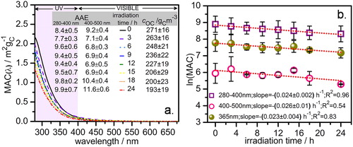 Figure 2. Changes in light absorptivity of water-soluble organic-carbon (WSOC) from rice straw smoldering due to heterogeneous photochemical aging. (a) Absorption spectra of fresh and irradiated WSOC. Wavelength dependent mass absorption coefficients (MAC) are plotted along the y-axis and corresponding wavelengths are plotted along the x-axis. The inset summarizes the absorption Ångström exponents (AAE) and OC mass concentrations (cOC) of the fresh and each of the irradiated samples. The AAE values were calculated by using EquationEquation (4)(4) AAE=−ln⁡(MACλ1MACλ2)ln⁡(λ1λ2)(4) . (b) Linear fits of lnMAC(λ) in the 280–400 nm and 400–500 nm intervals and at 365 nm are plotted against corresponding irradiation times to determine the photo-bleaching rate constant. Error bars represent standard deviations of three individual experimental values.