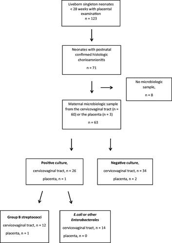 Figure 1. Flowchart of the study-population for the prospective observational study on singleton pregnancies and infants with a postnatal verified histologic chorioamnionitis, enrolled at Haukeland University Hospital (Norway) from 25 October 2010 to 24 September 2018.
