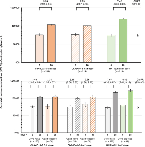 Figure 3. Geometric mean concentrations (95% CI) of anti-prototype spike IgG antibodies in the three study groups before and after vaccination. Values above columns show geometric mean-fold rises (GMFR, with 95% CI) from Day 0 to Day 28. Panel a shows all samples per group, Panel B shows segregation according to self-reported history of prior COVID-19 infection at baseline.