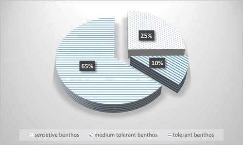 Figure 2. Benthic group’s percentage classified according to their tolerance in River Nile.