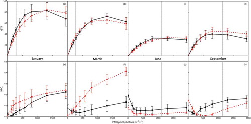 Fig. 6. In situ rapid light response curves (RLCs) of C. officinalis (circles and solid lines) and C. caespitosa (triangles and dashed lines) performed at Combe Martin, UK, during January, March, June and September, showing (a–d) relative electron transport rates (rETR) and (e–h) non-photochemical quenching (NPQ) across RLCs (mean ± SE, n = 5). Dotted vertical lines represent the average ambient irradiance recorded in situ at the time of RLC determination.