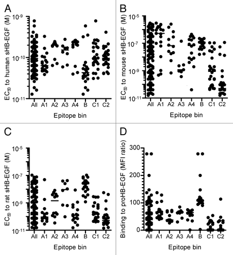 Figure 2. Binding activities of neutralizing anti-HB-EGF mAbs to HB-EGF. Binding activity of anti-HB-EGF mAbs to (A) human sHB-EGF, (B) mouse sHB-EGF and (C) rat sHB-EGF. The binding activities were determined by ELISA. The plots represent EC50 values of 146 mAbs used in the epitope binning study (Fig. 3). The horizontal line indicates the median EC50 value. (D) Binding activity of anti-HB-EGF mAbs to proHB-EGF was measured by flow cytometry. The plots represent median fluorescence intensity (MFI) ratio of the 146 mAbs used in the epitope binning study (Fig. 3). The MFI ratio of anti-HB-EGF mAb to a control sample was used as the measure of binding activity to proHB-EGF. The horizontal line indicates the median MFI ratio.