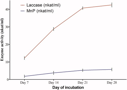 Figure 2. Laccase and MnP activities in HNHC medium at different days of incubation.