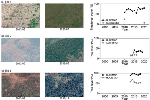 Figure 8. High spatial resolution images from Google Earth in three sites as examples. (a) Site 1 in South Sudan (26.01°E, 7.22°N), (b) site 2 in Zambia (31.18°E, 13.49°S), and (c) site 3 in the Central African Republic (19.02°E, 5.29°N).