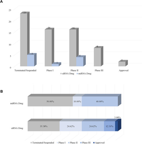 Figure 1 Clinical progression of miRNA drug and siRNA drug. (A) The number of miRNA drugs and siRNA drugs in different clinical periods (terminated/suspended, phase I, phase II, phase III, approved). (B) The ratio of miRNA drugs and siRNA drugs of different clinical periods.